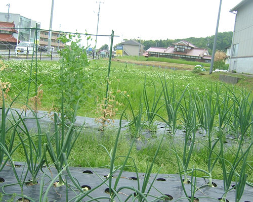 施設写真